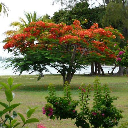 Anegada Reef Hotel เดอะเซทเทิลเมนต์ ภายนอก รูปภาพ