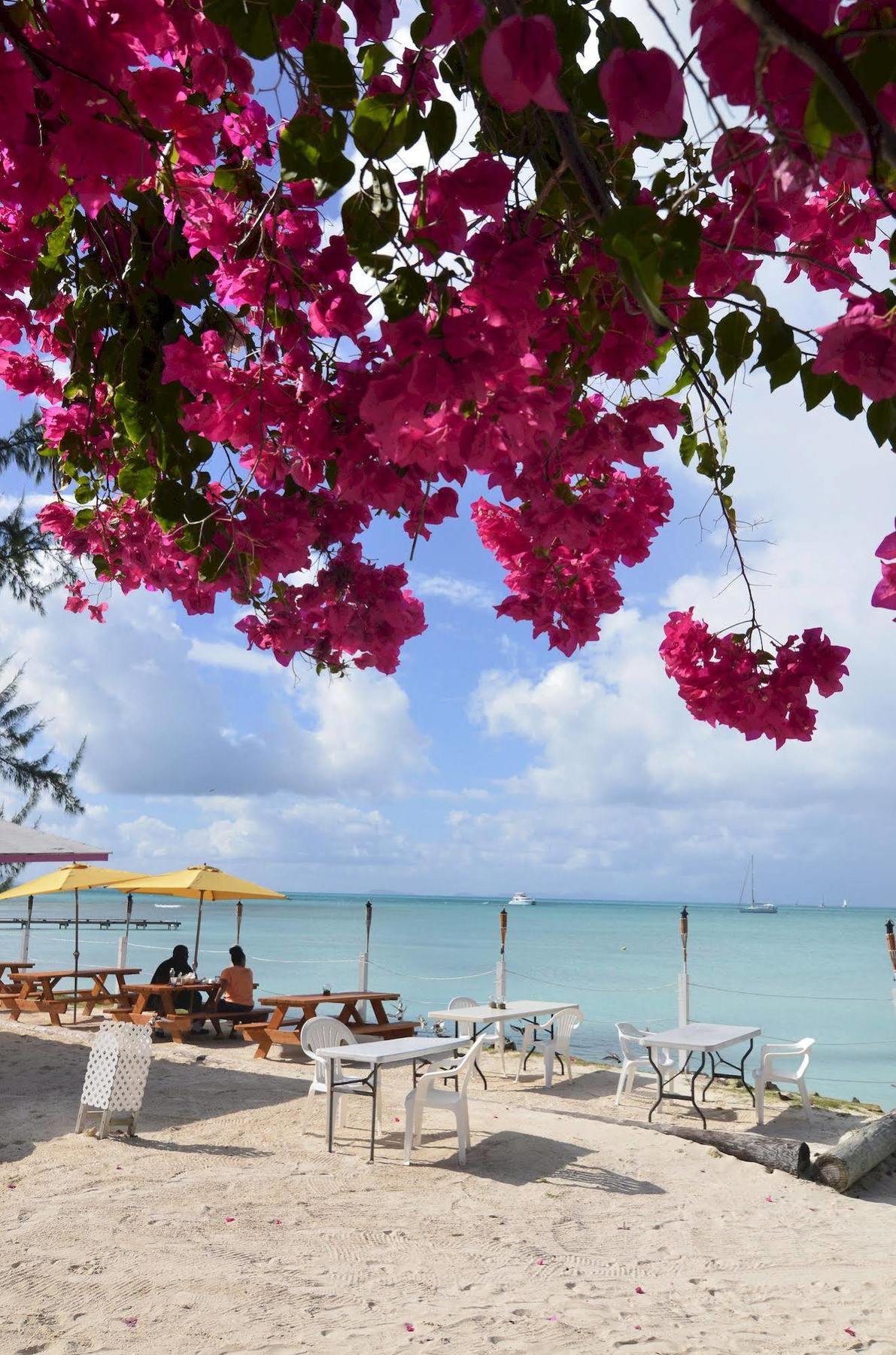Anegada Reef Hotel เดอะเซทเทิลเมนต์ ภายนอก รูปภาพ